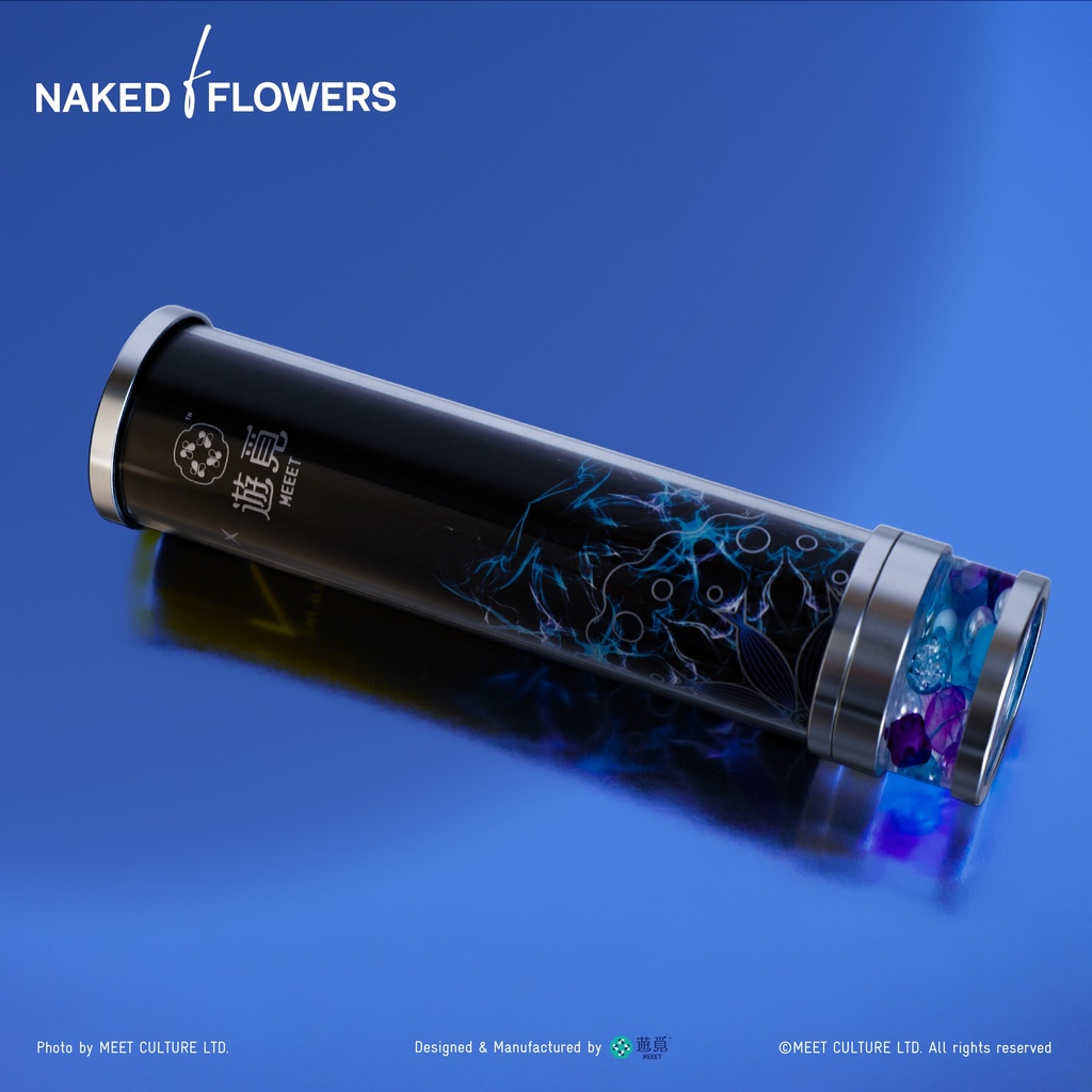 MEEET x Naked Inc. - Kaleidoscope (Ocean)
