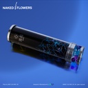 MEEET x Naked Inc. - Kaleidoscope (Ocean)